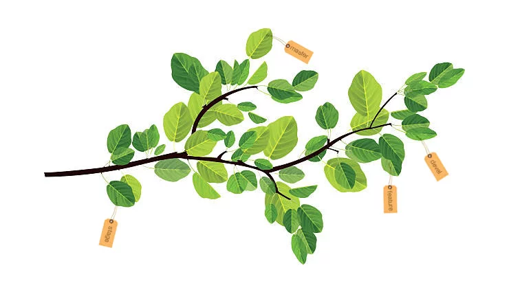 Branching by using tags and separate projects